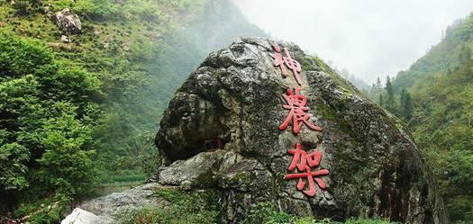 高唐税务:“税”伴祥和年 “家”味儿意更浓